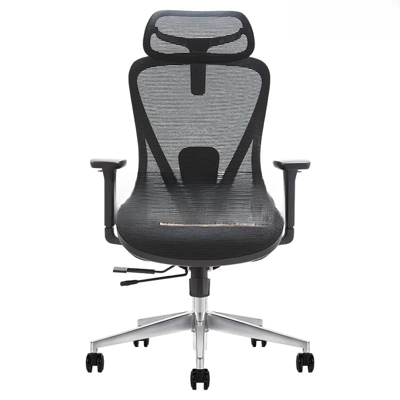 Ghế công thái học Ergonomic Alpha 01 Black