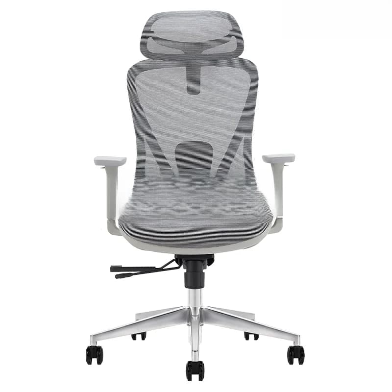 Ghế công thái học Ergonomic Alpha 01 Grey