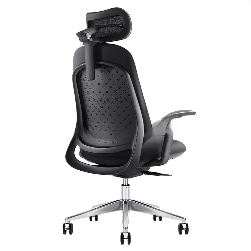Ghế công thái học Ergonomic Cozy C02A-BL