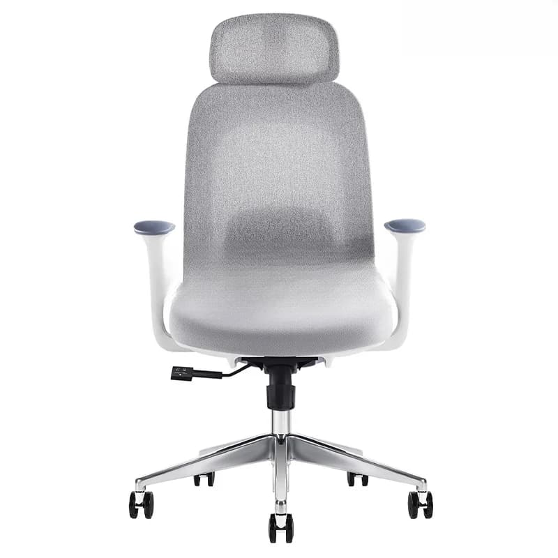 Ghế công thái học