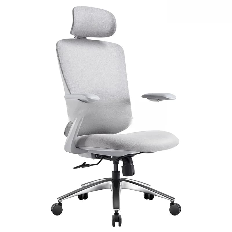 Ghế công thái học Ergonomic Cozy C04A-GR