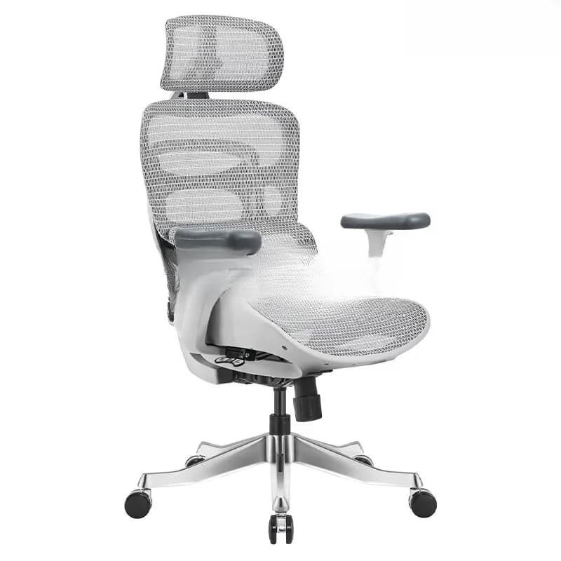 Ghế công thái học Ergonomic Dream Grey