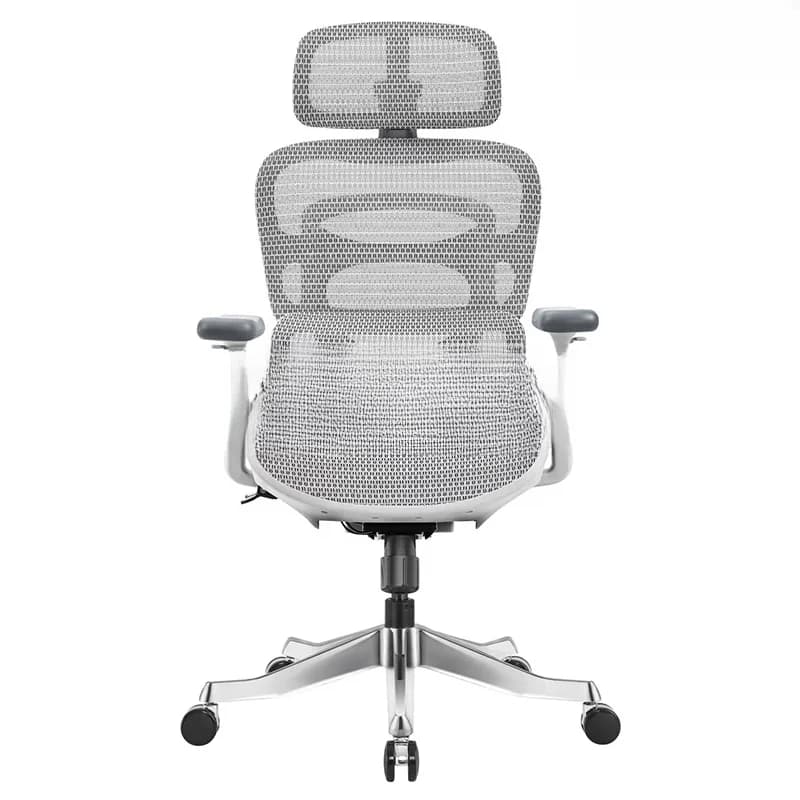 Ghế công thái học Ergonomic Dream Grey thumbnail 2