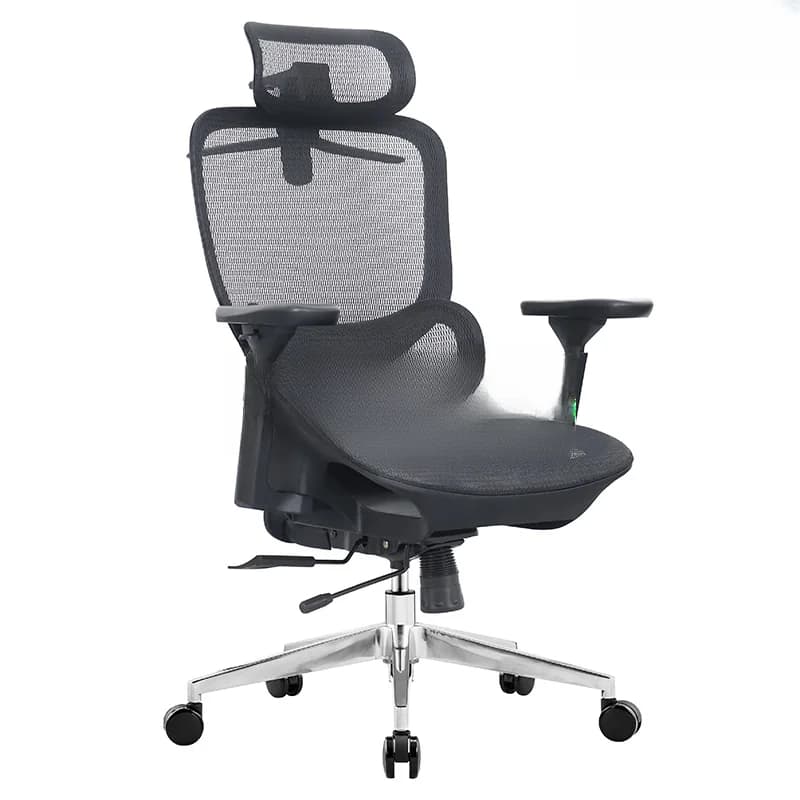 Ghế Công thái học Ergonomic Maris