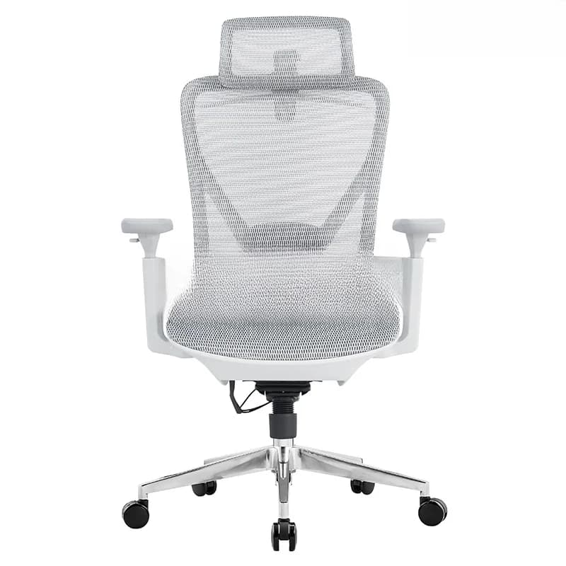 Ghế công thái học Ergonomic Maris Lite Grey