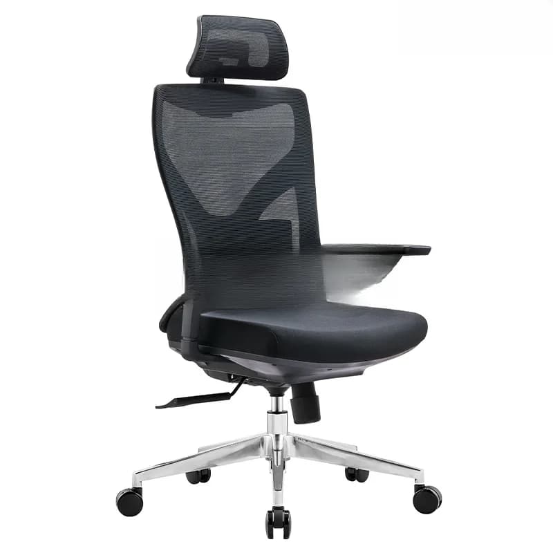 Ghế Công thái học  Ergonomic Ryan R02A Plus Black