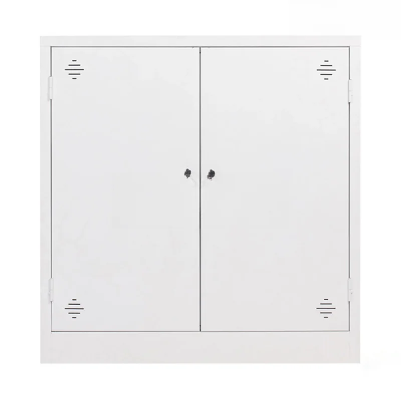 Tủ tài liệu sắt thấp 2 cánh sắt TL08-T